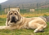 Filename=HOMERO.jpg
Filesize=271KiB
Dimensions=600x427
Date added=%719 %03, %2012 HOMERO.jpg