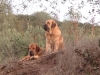Filename=Herodes_y_SAncho_-_b.JPG
Filesize=494KiB
Dimensions=1280x960
Date added=%969 %28, %2008 Herodes_y_SAncho_-_b.JPG