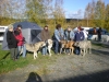 Filename=Himos_poppoo08.jpg
Filesize=148KiB
Dimensions=768x576
Date added=%385 %18, %2009 Himos_poppoo08.jpg