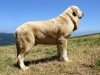 Filename=IKER_2008_001.jpg
Filesize=300KiB
Dimensions=600x450
Date added=%696 %31, %2008 IKER_2008_001.jpg