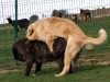 Filename=IKER_X_AMALIA.jpg
Filesize=290KiB
Dimensions=800x600
Date added=%434 %29, %2010 IKER_X_AMALIA.jpg