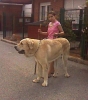 Filename=IMAGE_014.jpg
Filesize=24KiB
Dimensions=350x397
Date added=%881 %05, %2007 IMAGE_014.jpg