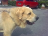Filename=IMAGE_025.jpg
Filesize=274KiB
Dimensions=1600x1200
Date added=%566 %22, %2007 IMAGE_025.jpg
