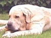 Filename=IMAGE_180.jpg
Filesize=7KiB
Dimensions=160x120
Date added=%566 %22, %2007 IMAGE_180.jpg