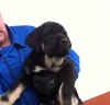 Filename=IMG-20140119-WA0020.jpg
Filesize=33KiB
Dimensions=603x582
Date added=%855 %19, %2014 IMG-20140119-WA0020.jpg