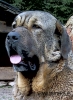 Filename=IMG-20140624-WA0007.jpg
Filesize=305KiB
Dimensions=944x1280
Date added=%705 %30, %2014 IMG-20140624-WA0007.jpg