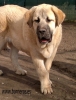Filename=IMG-20140624-WA0012.jpg
Filesize=77KiB
Dimensions=553x720
Date added=%701 %30, %2014 IMG-20140624-WA0012.jpg