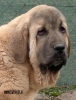 Filename=IMG-20140720-WA0002.jpg
Filesize=185KiB
Dimensions=914x1193
Date added=%962 %30, %2014 IMG-20140720-WA0002.jpg