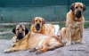 Filename=IMG-20140814-WA0005.jpg
Filesize=160KiB
Dimensions=1128x720
Date added=%691 %14, %2014 IMG-20140814-WA0005.jpg