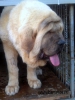 Filename=IMG-20140814-WA0006.jpg
Filesize=66KiB
Dimensions=540x720
Date added=%683 %14, %2014 IMG-20140814-WA0006.jpg