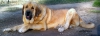 Filename=IMG-20140820-WA0002.jpg
Filesize=131KiB
Dimensions=1280x473
Date added=%961 %21, %2014 IMG-20140820-WA0002.jpg