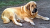 Filename=IMG-20140821-WA0002.jpg
Filesize=180KiB
Dimensions=1280x718
Date added=%971 %21, %2014 IMG-20140821-WA0002.jpg