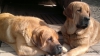 Filename=IMG-20141002-WA0001.jpg
Filesize=145KiB
Dimensions=1280x718
Date added=%951 %26, %2014 IMG-20141002-WA0001.jpg