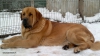 Filename=IMG-20141228-WA0001.jpg
Filesize=155KiB
Dimensions=1280x718
Date added=%608 %29, %2014 IMG-20141228-WA0001.jpg