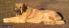 Filename=IMG-20150111-WA0006.jpg
Filesize=127KiB
Dimensions=1280x533
Date added=%679 %11, %2015 IMG-20150111-WA0006.jpg