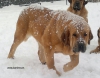 Filename=IMG-20150122-WA0001.jpg
Filesize=155KiB
Dimensions=1280x999
Date added=%757 %22, %2015 IMG-20150122-WA0001.jpg