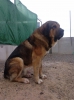 Filename=IMG-20150131-WA0072.jpg
Filesize=185KiB
Dimensions=959x1280
Date added=%765 %15, %2015 IMG-20150131-WA0072.jpg