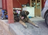 Filename=IMG-20150301-WA0005.jpg
Filesize=181KiB
Dimensions=1280x959
Date added=%740 %03, %2015 IMG-20150301-WA0005.jpg