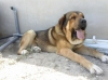 Filename=IMG-20150404-WA0042.jpg
Filesize=167KiB
Dimensions=1280x959
Date added=%736 %03, %2015 IMG-20150404-WA0042.jpg