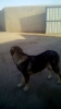 Filename=IMG-20150406-WA0004.jpg
Filesize=64KiB
Dimensions=720x1280
Date added=%818 %29, %2015 IMG-20150406-WA0004.jpg