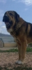 Filename=IMG-20151010-WA0002.jpg
Filesize=134KiB
Dimensions=742x1599
Date added=%807 %10, %2015 IMG-20151010-WA0002.jpg