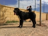 Filename=IMG-20151011-WA0004.jpg
Filesize=360KiB
Dimensions=1296x972
Date added=%661 %11, %2015 IMG-20151011-WA0004.jpg
