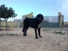 Filename=IMG-20151121-WA0005.jpg
Filesize=201KiB
Dimensions=1296x972
Date added=%845 %25, %2015 IMG-20151121-WA0005.jpg