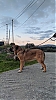 Filename=IMG-20210107-WA0004.jpg
Filesize=190KiB
Dimensions=898x1600
Date added=%026 %27, %2021 IMG-20210107-WA0004.jpg