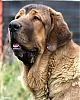 Filename=IMG-20210725-WA0064.jpg
Filesize=167KiB
Dimensions=823x1024
Date added=%496 %31, %2021 IMG-20210725-WA0064.jpg
