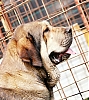 Filename=IMG-20210725-WA0088.jpg
Filesize=247KiB
Dimensions=913x1024
Date added=%496 %31, %2021 IMG-20210725-WA0088.jpg
