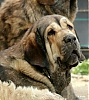 Filename=IMG-20210725-WA0091.jpg
Filesize=175KiB
Dimensions=919x1024
Date added=%496 %31, %2021 IMG-20210725-WA0091.jpg