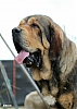 Filename=IMG-20210725-WA0094.jpg
Filesize=97KiB
Dimensions=729x1024
Date added=%496 %31, %2021 IMG-20210725-WA0094.jpg