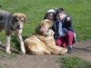 Filename=IMG0185.JPG
Filesize=1020KiB
Dimensions=1632x1224
Date added=%675 %12, %2008 IMG0185.JPG