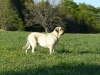 Filename=IMGA0033.JPG
Filesize=166KiB
Dimensions=600x450
Date added=%798 %06, %2007 IMGA0033.JPG