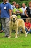 Filename=IMG_1743.JPG
Filesize=483KiB
Dimensions=1047x1600
Date added=%598 %10, %2012 IMG_1743.JPG