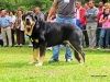 Filename=IMG_1866.JPG
Filesize=602KiB
Dimensions=1600x1200
Date added=%473 %26, %2012 IMG_1866.JPG