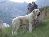 Filename=Iker.jpg
Filesize=230KiB
Dimensions=1024x768
Date added=%473 %07, %2010 Iker.jpg