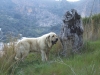 Filename=Iker_de_Fonteferra.jpg
Filesize=209KiB
Dimensions=1024x768
Date added=%471 %07, %2010 Iker_de_Fonteferra.jpg