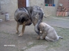 Filename=Imagen_026.jpg
Filesize=141KiB
Dimensions=640x480
Date added=%478 %22, %2008 Imagen_026.jpg