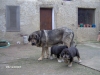 Filename=Imagen_031.jpg
Filesize=145KiB
Dimensions=640x480
Date added=%473 %22, %2008 Imagen_031.jpg