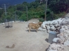 Filename=Imagen_1347.jpg
Filesize=175KiB
Dimensions=922x691
Date added=%024 %29, %2009 Imagen_1347.jpg