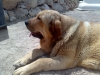 Filename=Imagen_1358.jpg
Filesize=731KiB
Dimensions=2048x1536
Date added=%991 %28, %2009 Imagen_1358.jpg