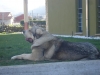 Filename=Imagen_1444.jpg
Filesize=88KiB
Dimensions=1024x768
Date added=%867 %16, %2012 Imagen_1444.jpg