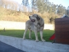 Filename=Imagen_1452.jpg
Filesize=130KiB
Dimensions=1024x768
Date added=%666 %12, %2012 Imagen_1452.jpg