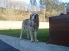 Filename=Imagen_1453.jpg
Filesize=134KiB
Dimensions=1024x768
Date added=%662 %12, %2012 Imagen_1453.jpg
