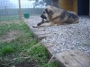 Filename=Imagen_1574.jpg
Filesize=405KiB
Dimensions=1024x768
Date added=%437 %03, %2012 Imagen_1574.jpg