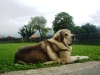 Filename=Imagen_1667.jpg
Filesize=135KiB
Dimensions=1024x768
Date added=%875 %14, %2012 Imagen_1667.jpg