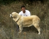 Filename=Img12.jpg
Filesize=345KiB
Dimensions=1280x1024
Date added=%960 %05, %2008 Img12.jpg