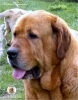 Filename=Inka5628985_copia.jpg
Filesize=604KiB
Dimensions=884x1127
Date added=%496 %21, %2015 Inka5628985_copia.jpg