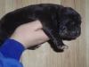Filename=Izaro_de_Anaise.JPG
Filesize=146KiB
Dimensions=640x480
Date added=%687 %01, %2010 Izaro_de_Anaise.JPG